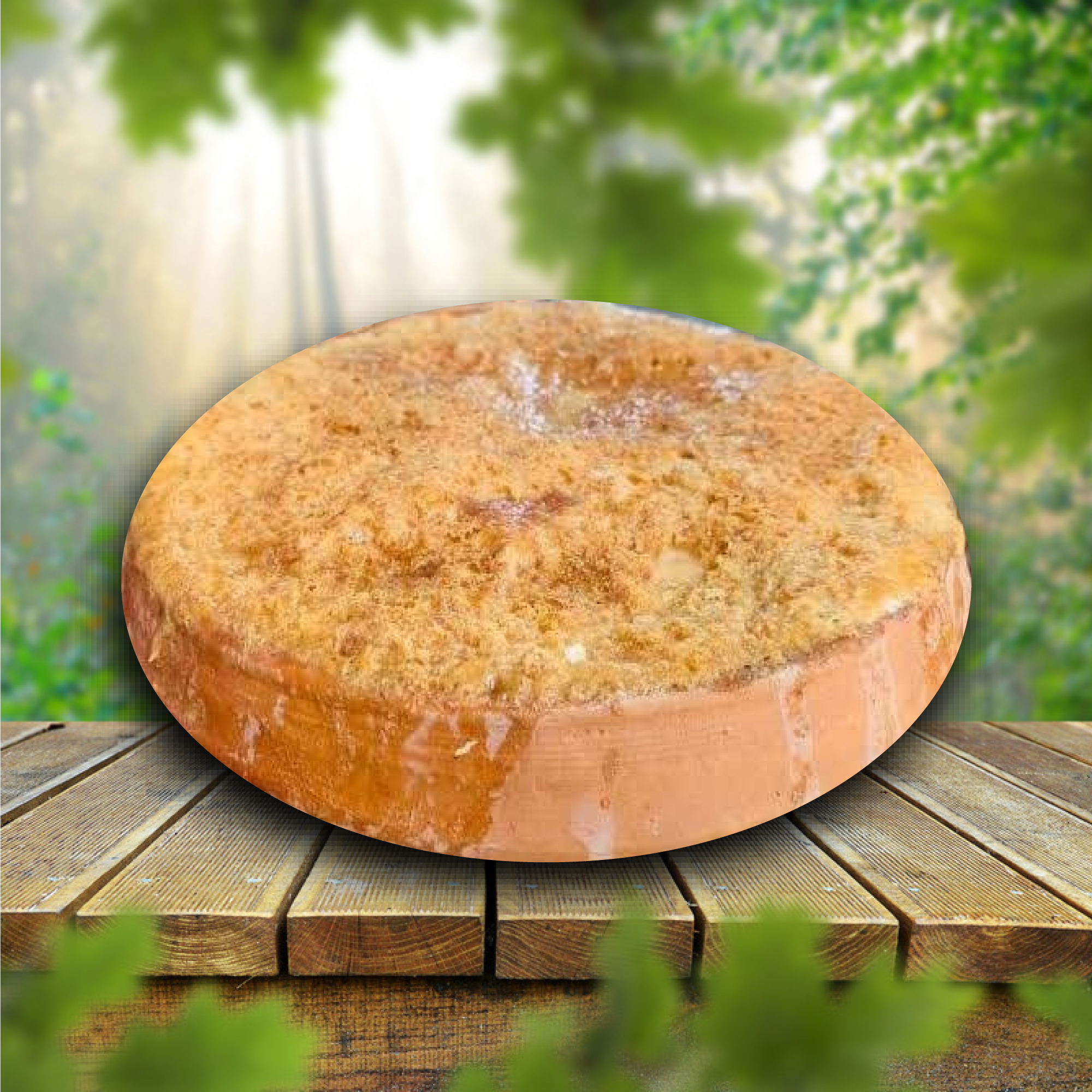 বগুড়ার প্রিমিয়াম প্লাস সরা দই (900-1000 গ্রাম)