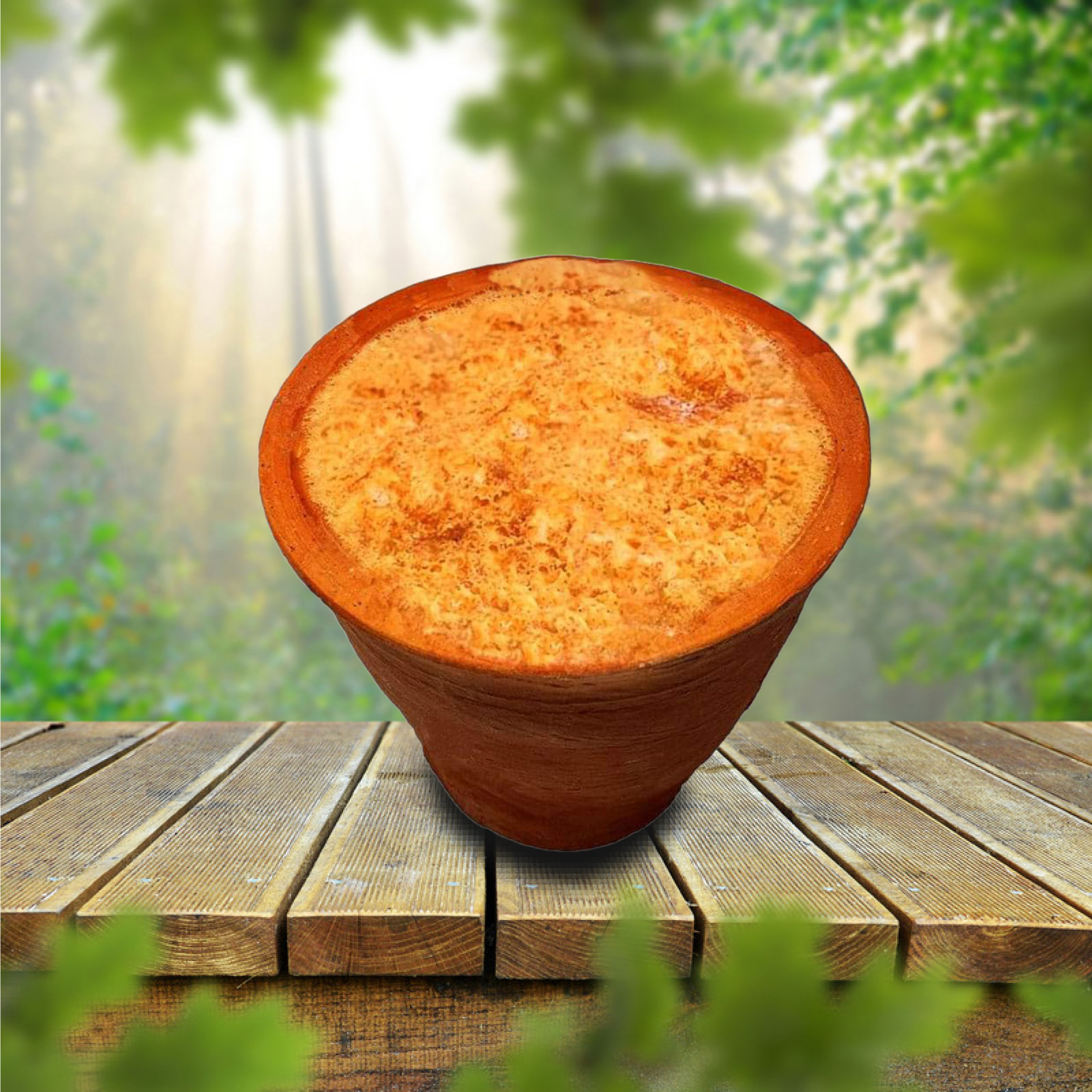 বগুড়ার প্রিমিয়াম প্লাস কাপ দই 80-100 গ্রাম