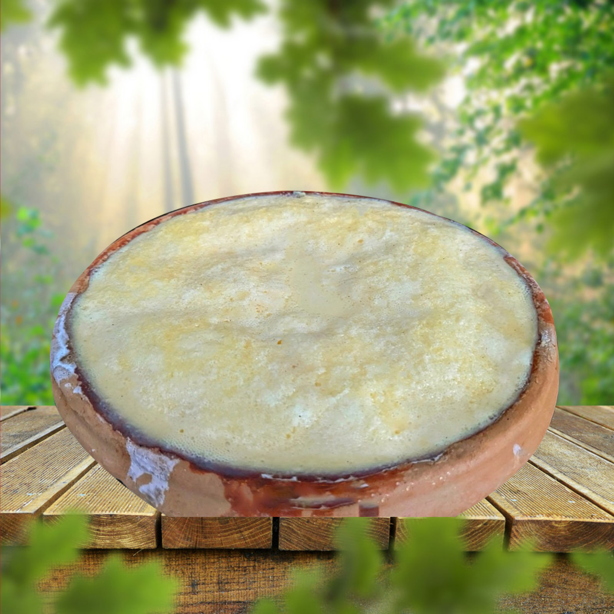 বগুড়ার প্রিমিয়াম প্লাস টক-মিষ্টি দই (600-700 গ্রাম)